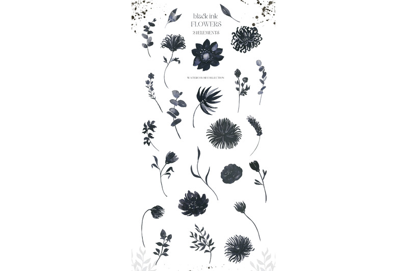 black-ink-flowers-watercolor-clipart