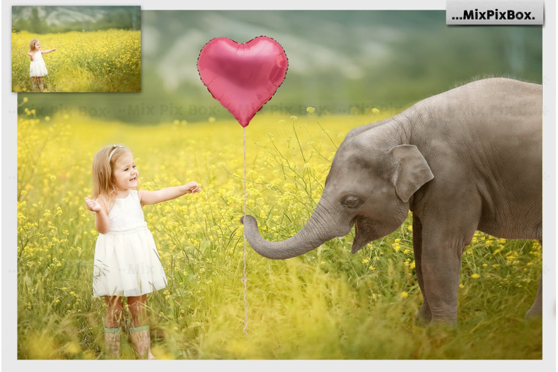baby-elephant-photo-overlays