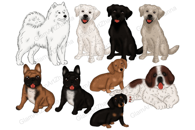 pets-clipart