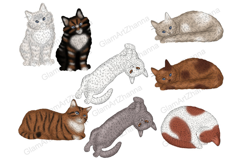 pets-clipart