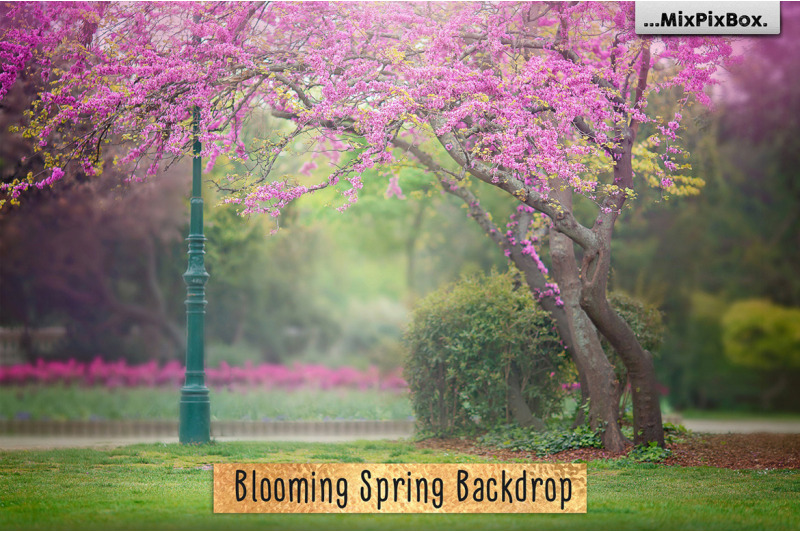 blooming-spring-backdrop