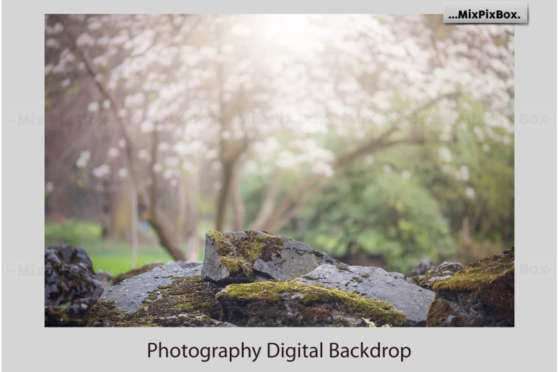 spring-digital-backdrop