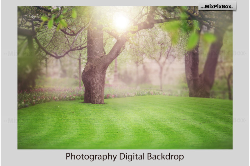 spring-digital-backdrop