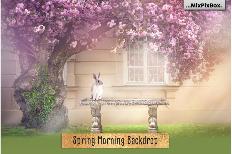 spring-morning-backdrop