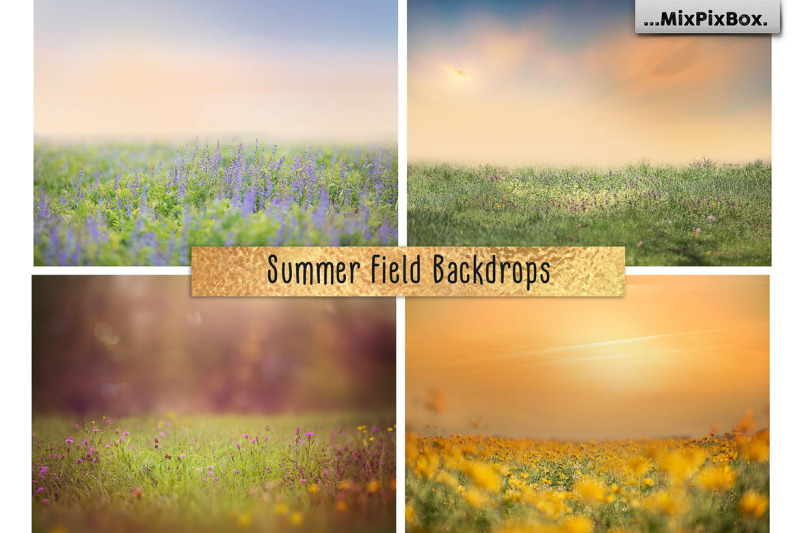 summer-field-backdrops