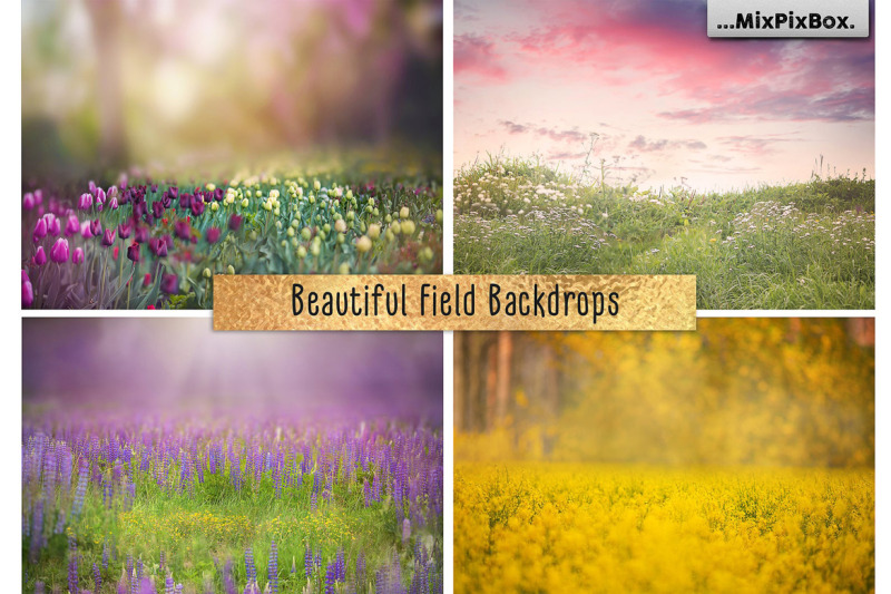 beautiful-field-backdrops