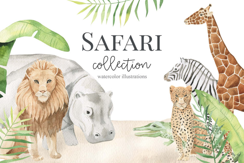 safari-animals-watercolor-set