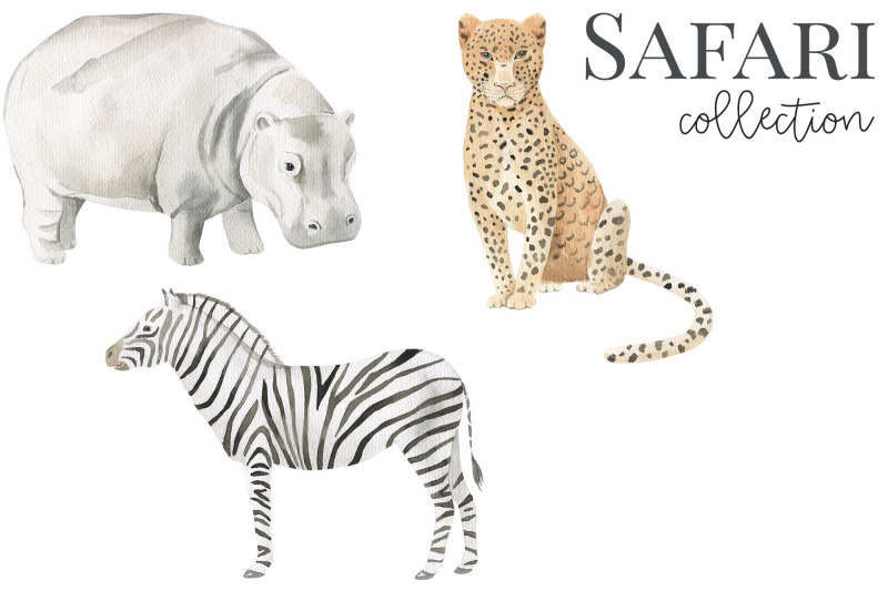 safari-animals-watercolor-set