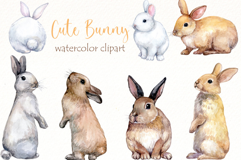 watercolor-bunny-clipart-bundle-easter-cute-animals-png-clip-art