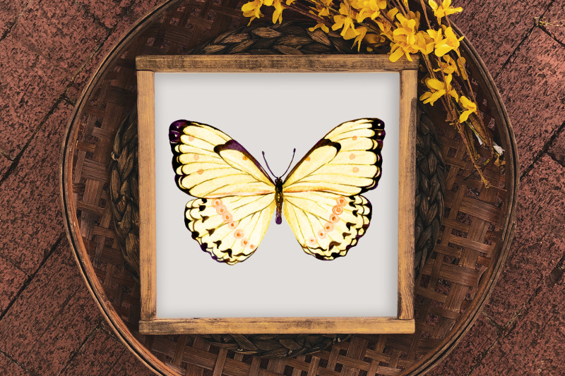 watercolor-butterfly-clipart-bundle-yellow-butterfly-png-clip-art