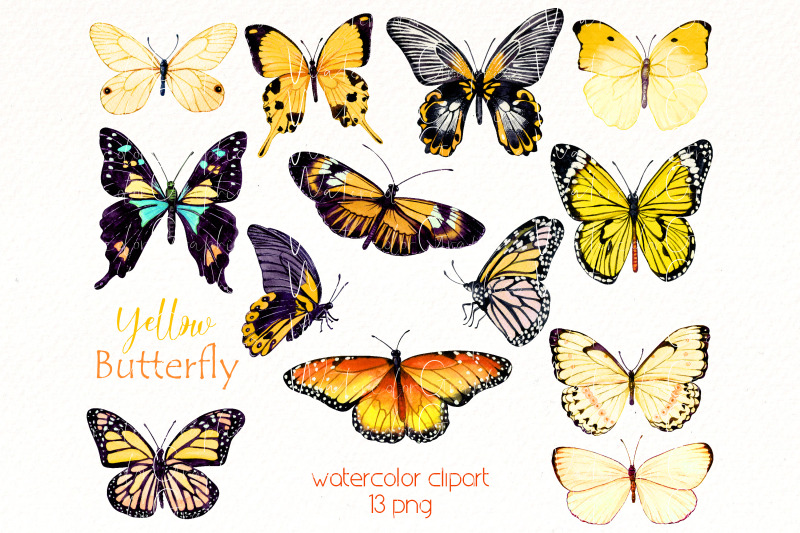 watercolor-butterfly-clipart-bundle-yellow-butterfly-png-clip-art