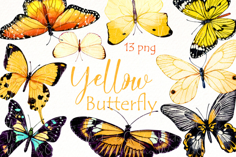 watercolor-butterfly-clipart-bundle-yellow-butterfly-png-clip-art