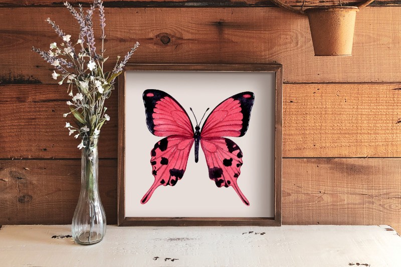 watercolor-butterfly-bundle-clipart-pink-butterfly-png-clip-art