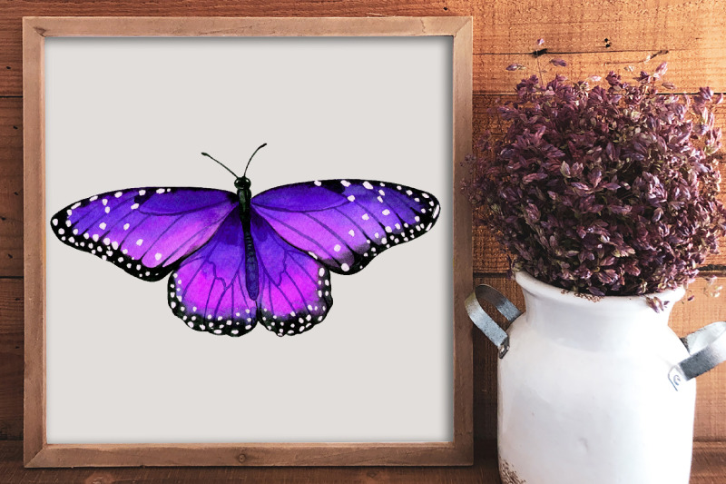 watercolor-butterfly-clipart-bundle-blue-butterfly-png