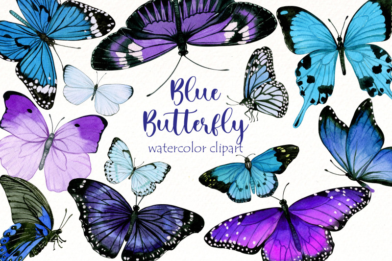 watercolor-butterfly-clipart-bundle-blue-butterfly-png