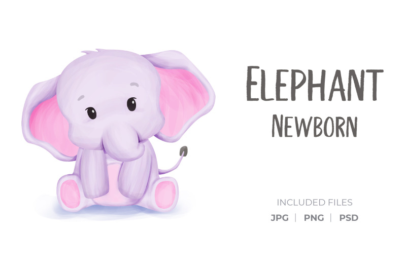 elephant-newborn