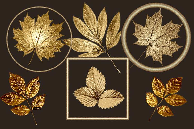 golden-set-of-leaves-and-elements-png