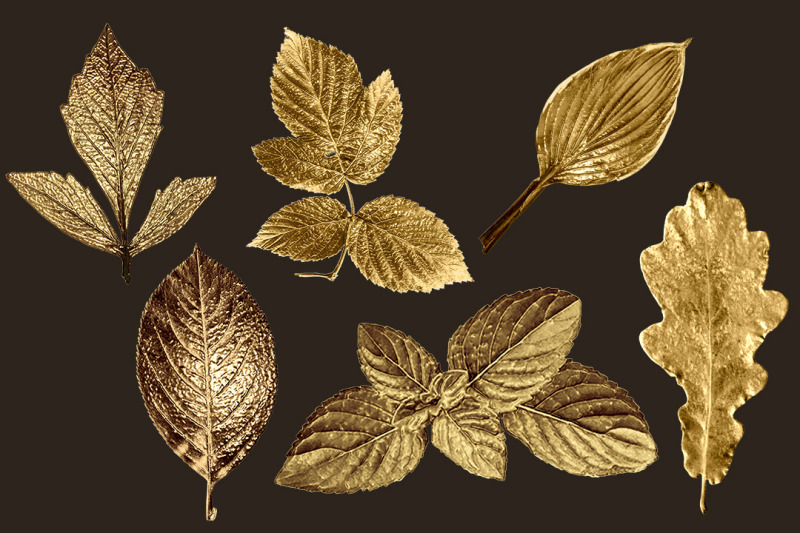 golden-set-of-leaves-and-elements-png