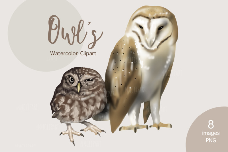 watercolor-barn-owl-clipart-owls-woodland-forest-animals