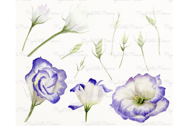 flower-art-clip-art-watercolor-png-c2