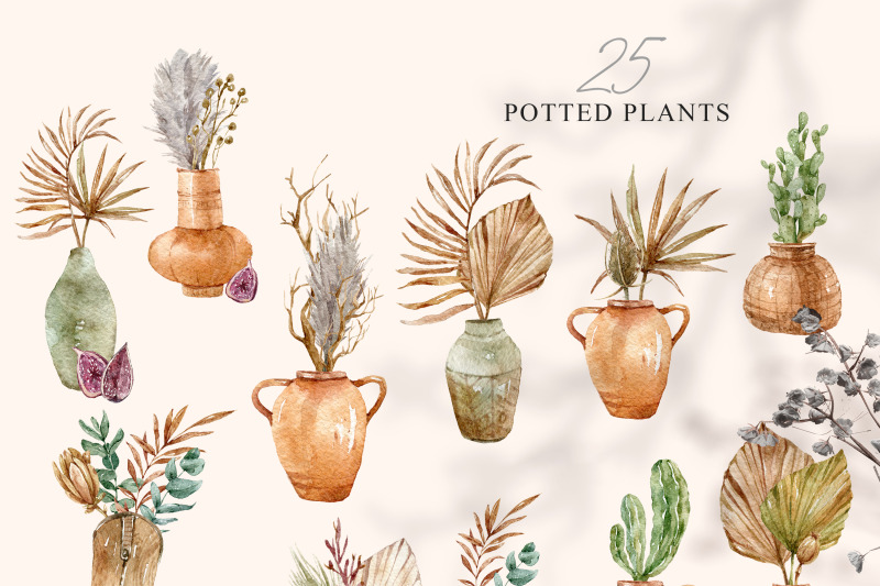 watercolor-boho-potted-plants-clipart-25-png-files