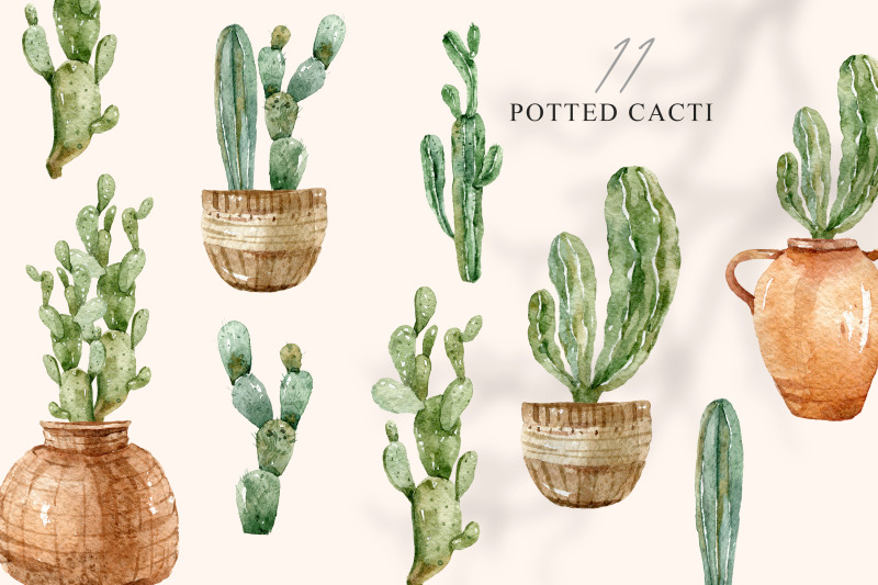 watercolor-potted-succulents-clipart-11-png-files