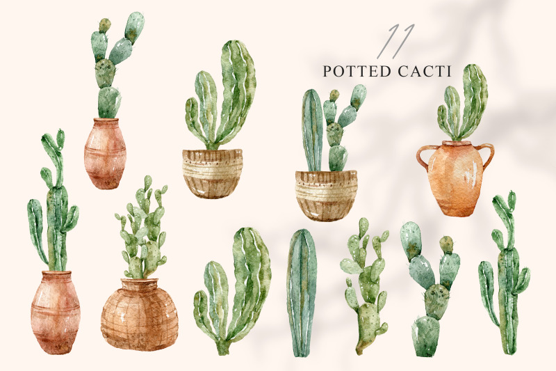 watercolor-potted-succulents-clipart-11-png-files