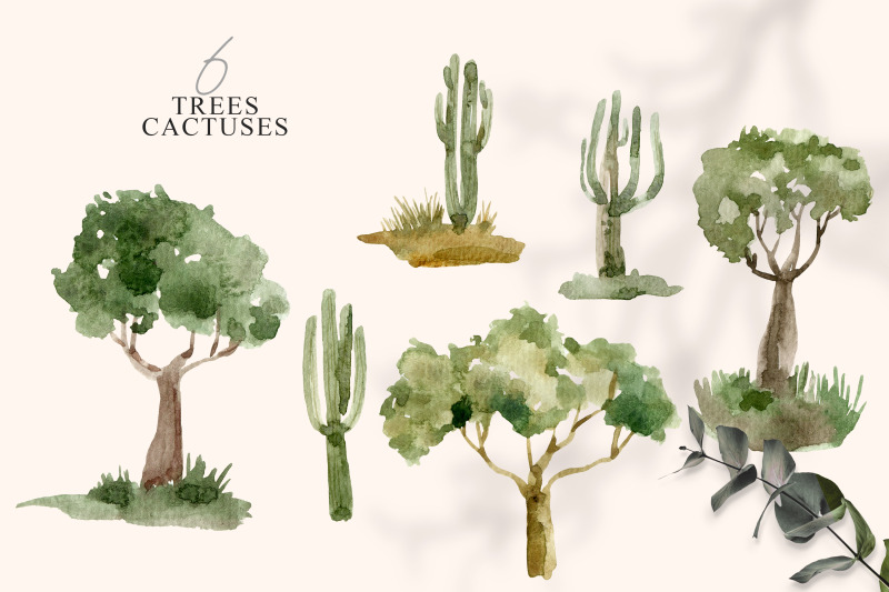 watercolor-succulents-and-trees-clipart-6-png-files