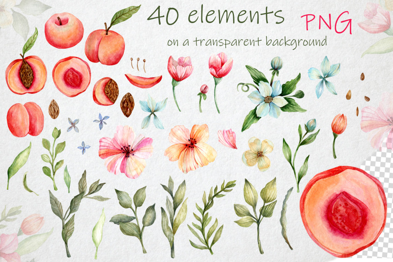 peach-blossom-watercolor-bundle