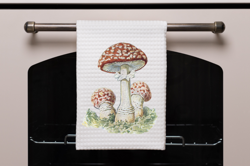 vintage-mushrooms-junk-journal-mushroom