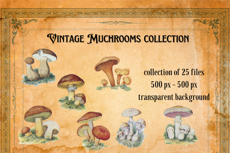 vintage-mushrooms-junk-journal-mushroom