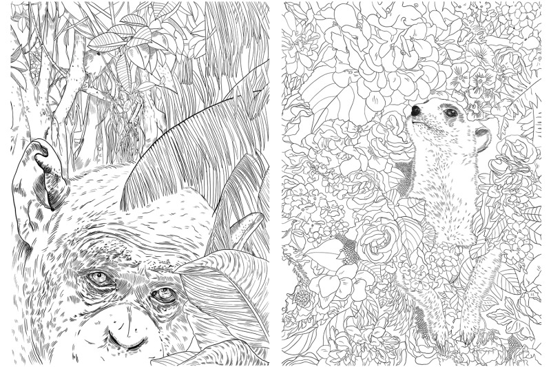 pages-for-coloring-nature-and-animals
