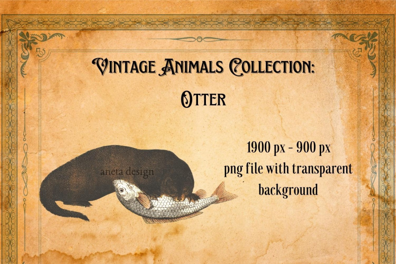 vintage-otter-illustration