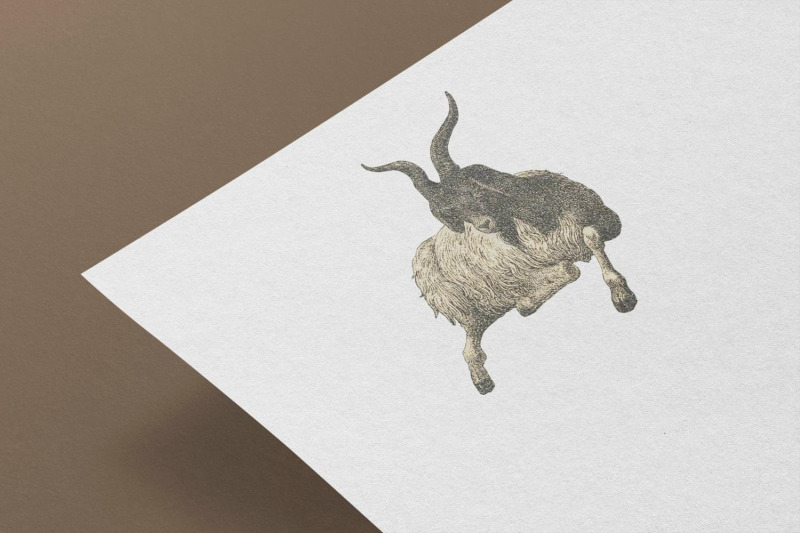 vintage-billy-goat-illustration