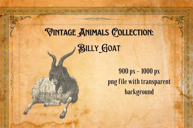 vintage-billy-goat-illustration