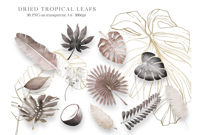 watercolor-boho-design-bundle-tropical-leaves-clipart