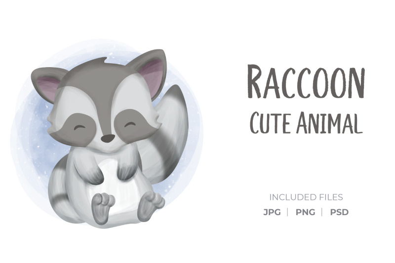 raccoon-animal