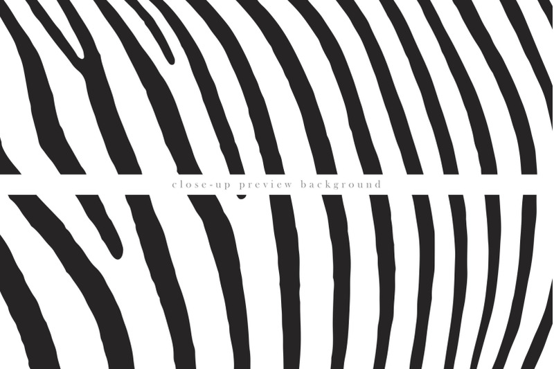 zebra-mixed-backgrounds