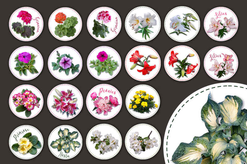 set-of-round-stickers-labels-with-flowers