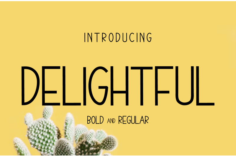 delightful-modern-font