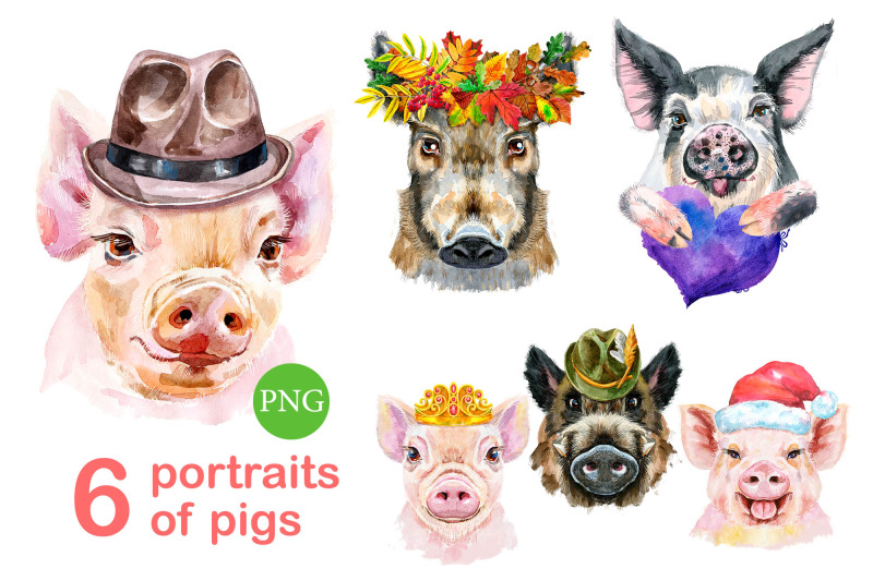 cute-watercolor-pigs-part-10