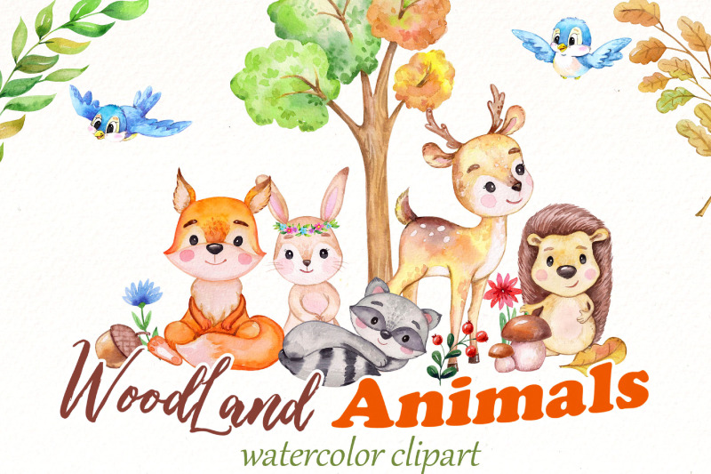 watercolor-woodland-clipart-bundle-forest-animals-png-clip-art
