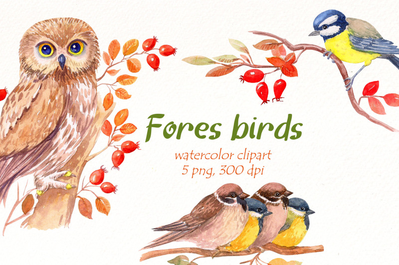 forest-birds-png-watercolor-wild-bird-clipart