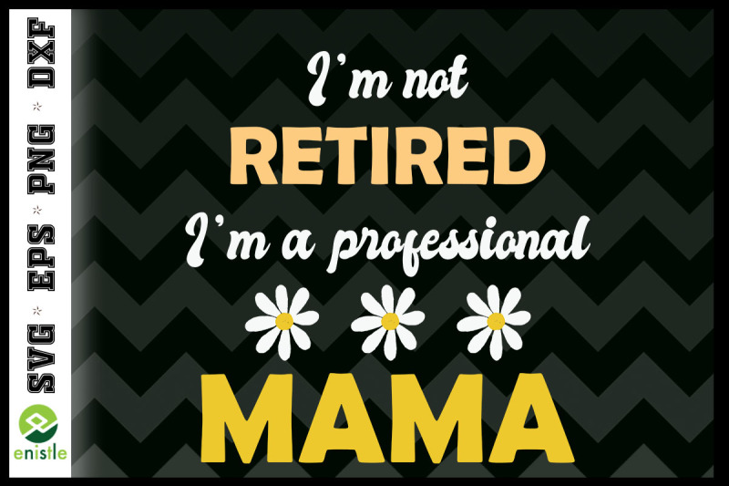 retirement-i-039-m-a-professional-mama