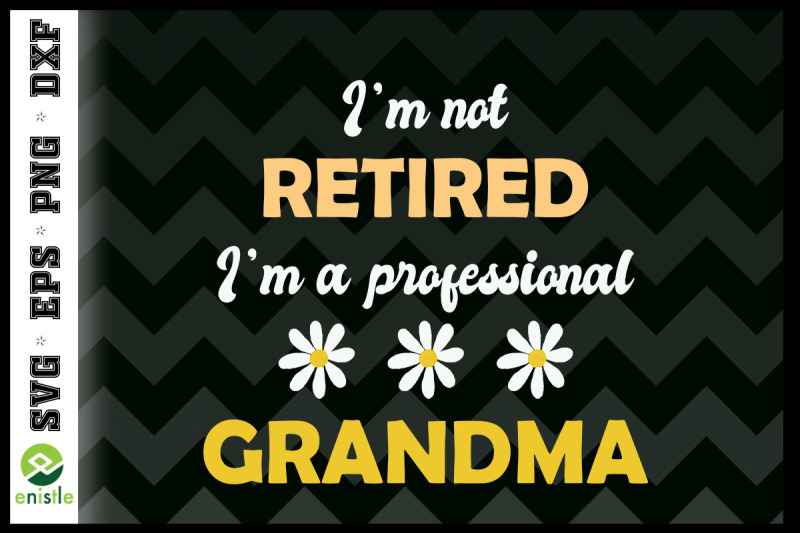 retirement-i-039-m-a-professional-grandma