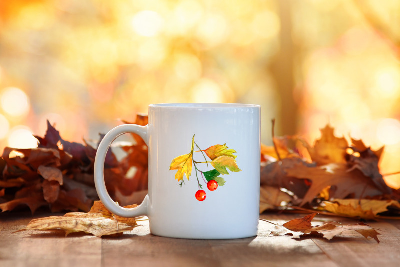 fall-leaves-watercolor-clipart-bundle-autumn-leaf-png