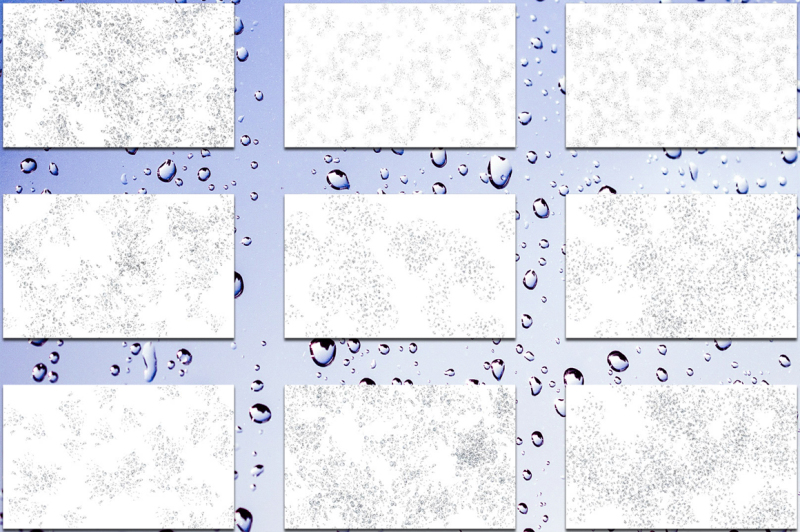 50-transparent-png-water-drops-overlays