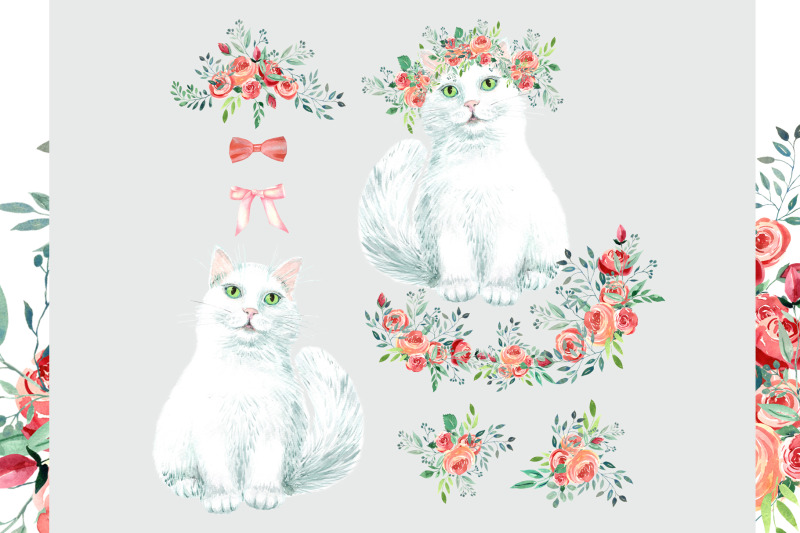 white-cats