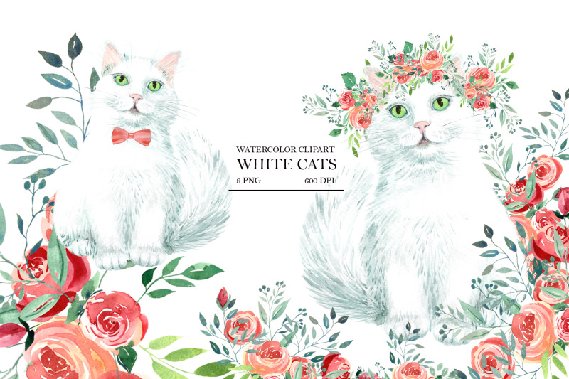 white-cats