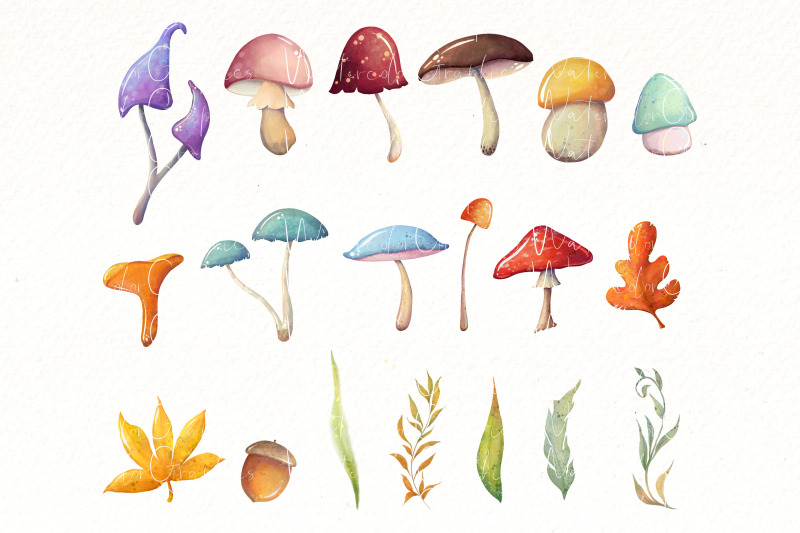mushroom-clipart-watercolor-fall-png-clipart-autumn-design